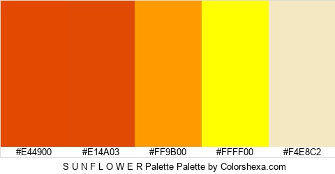 S U N F L O W E R Palette Colors Logo