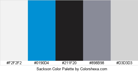 Sackson Color Colors Logo