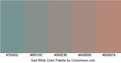 Sad Wilds Color Colors Logo