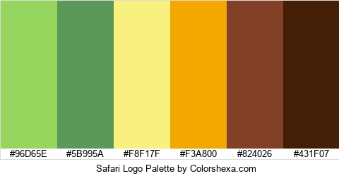Safari Logo Colors Logo