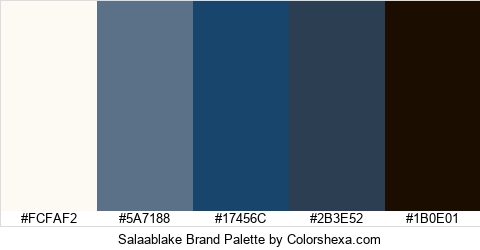 Salaablake Brand Colors Logo