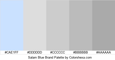 Salam Blue Brand Colors Logo