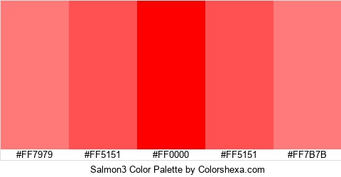 Salmon3 Color Colors Logo