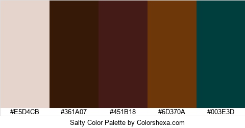 Salty Color Colors Logo