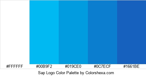 Sap Logo Color Colors Logo