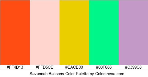 Savannah Balloons Color Colors Logo