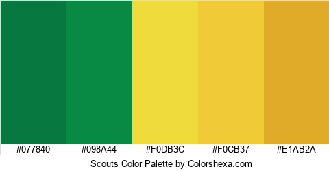 Scouts Color Colors Logo