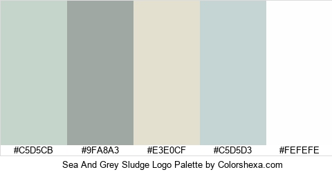 Sea And Grey Sludge Logo Colors Logo