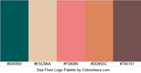 Sea Floor Logo Colors Logo