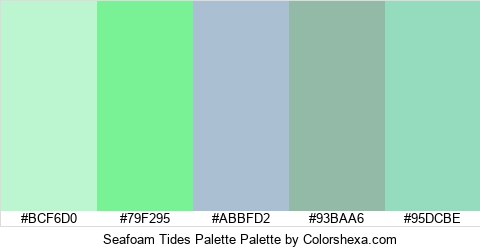 Seafoam Tides Palette Colors Logo