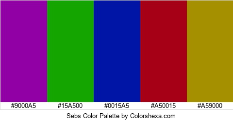 Sebs Color Colors Logo