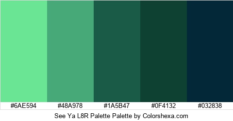 See Ya L8R Palette Colors Logo