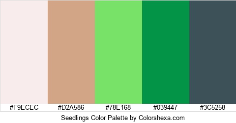 Seedlings Color Colors Logo