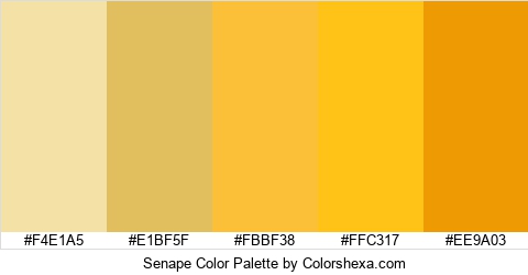 Senape Color Colors Logo