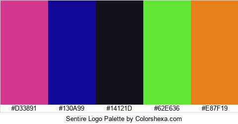 Sentire Logo Colors Logo
