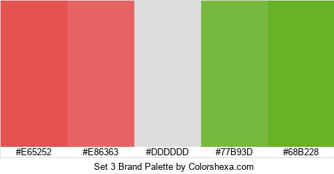 Set 3 Brand Colors Logo