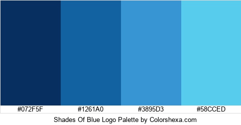 Shades Of Blue Logo Colors Logo
