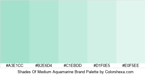 Shades Of Medium Aquamarine Brand Colors Logo