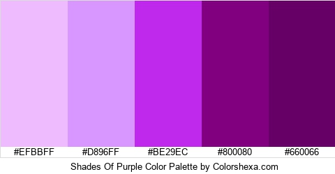 Shades Of Purple Color Colors Logo