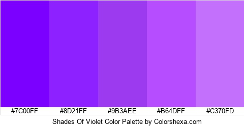 Shades Of Violet Color Colors Logo