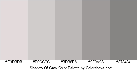 Shadow Of Gray Color Colors Logo