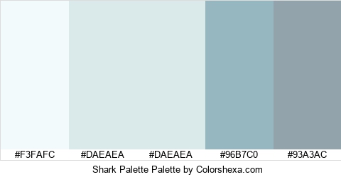 Shark Palette Colors Logo