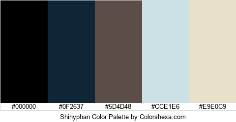 Shinyphan Color Colors Logo
