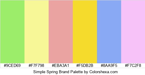 Simple Spring Brand Colors Logo