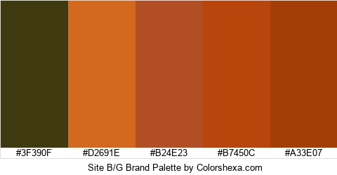 Site B/G Brand Colors Logo