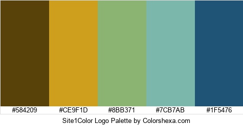 Site1Color Logo Colors Logo