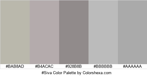#Siva Color Colors Logo