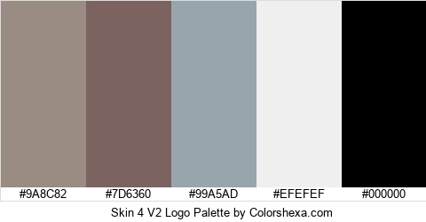 Skin 4 V2 Logo Colors Logo