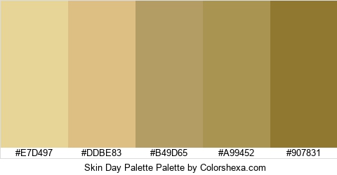 Skin Day Palette Colors Logo