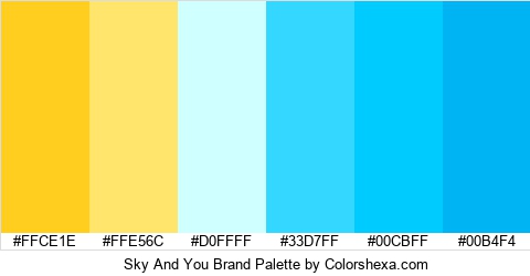 Sky And You Brand Colors Logo