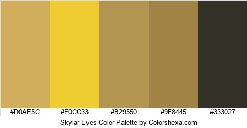 Skylar Eyes Color Colors Logo