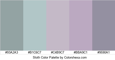 Sloth Color Colors Logo