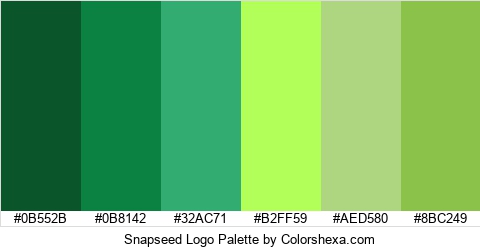 Snapseed Logo Colors Logo