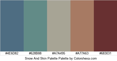 Snow And Skin Palette Colors Logo