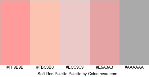 Soft Red Palette Colors Logo