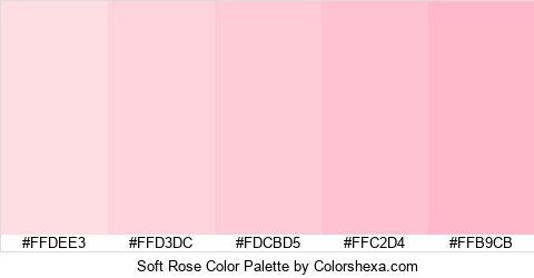 Soft Rose Color Colors Logo