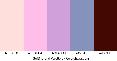 Soft1 Brand Colors Logo