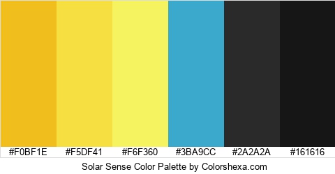Solar Sense Color Colors Logo