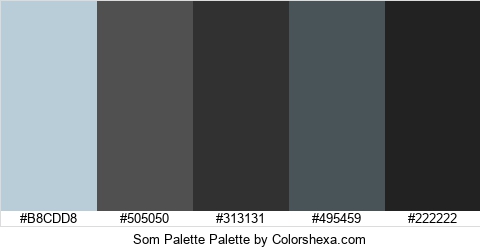 Som Palette Colors Logo