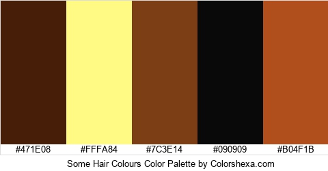 Some Hair Colours Color Colors Logo