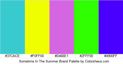 Sometime In The Summer Brand Colors Logo