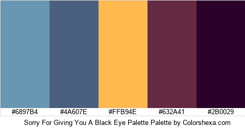 Sorry For Giving You A Black Eye Palette Colors Logo