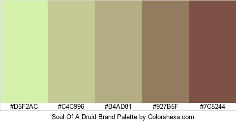 Soul Of A Druid Brand Colors Logo