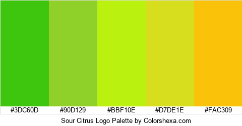 Sour Citrus Logo Colors Logo