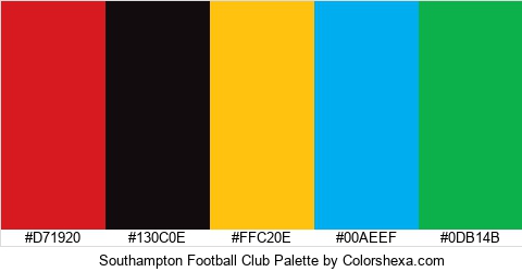 Brighton & Hove Albion Color Codes Hex, RGB, and CMYK - Team Color