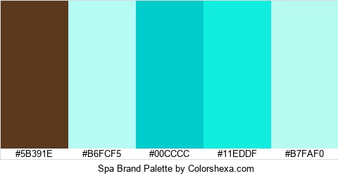 Spa Brand Colors Logo